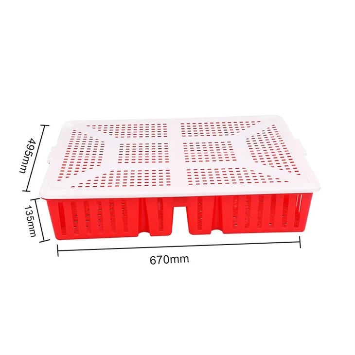 Nest And Stack Plastic Poultry Chick Box