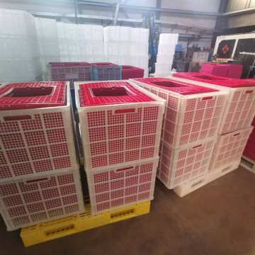 product-360-360