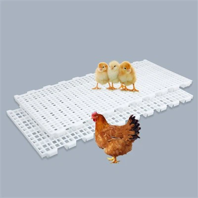 오리용 플라스틱 바닥 패널