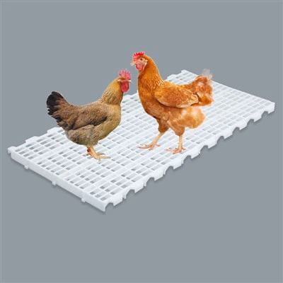 플라스틱 가금류 사육 바닥 패널